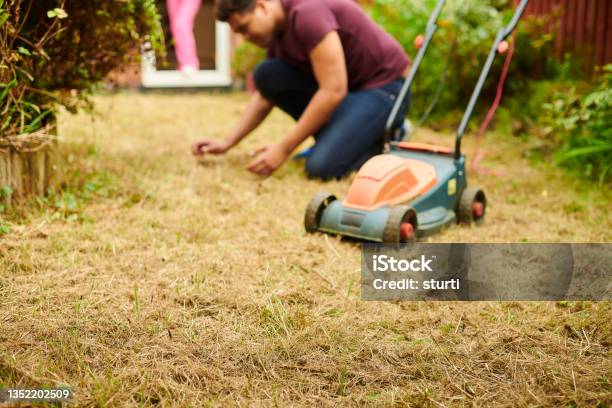 Lawn In Need Of Help Stock Photo - Download Image Now - Yard - Grounds, Dry, Drought