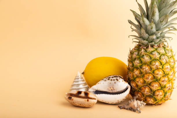 Beach vacation. A palm leaf and juicy fruits lie on white fine sand. Close-up, top view, desktop wallpaper. Copyspace.
