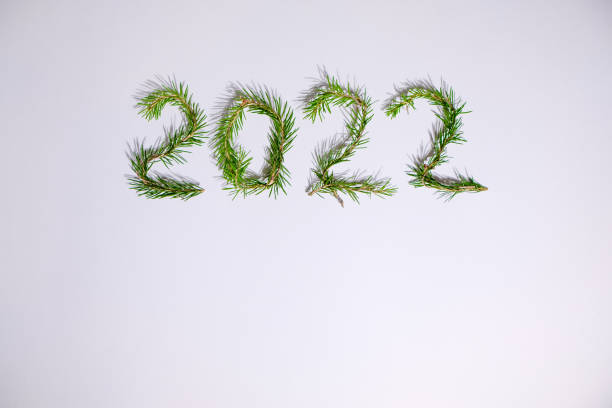 istock Lightbox with 2022 numbers handmade from Christmas tree branches 1352204316