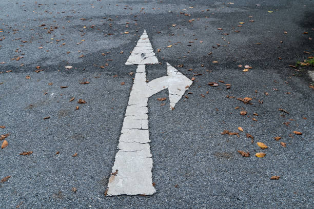 duas maneiras de seta branca em uma estrada com folhas caídas no chão , setas de sinalização de rua, um símbolo de progresso e sucesso. - choice street road beginnings - fotografias e filmes do acervo