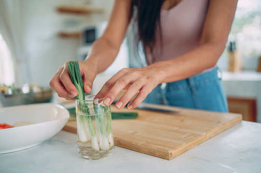 Woman's hands putting a spring onion in a water to regrow it.