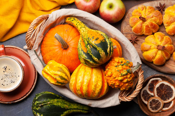 istock Pumpkin muffins and various pumpkins 1352214057