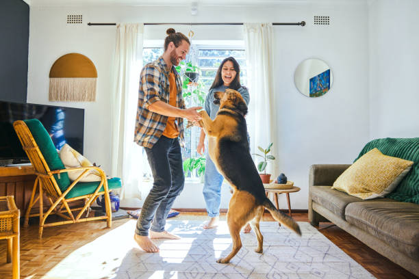 photo d’un jeune couple jouant avec leur chien de compagnie - women lifestyles indoors people photos et images de collection