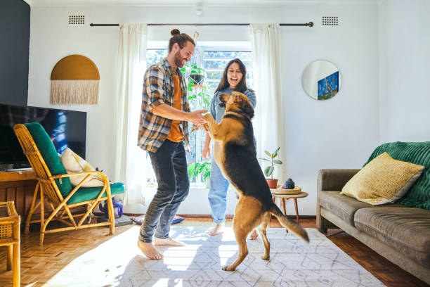 ujęcie młodej pary bawiącej się ze swoim psem - obowiązki domowe zdjęcia i obrazy z banku zdjęć