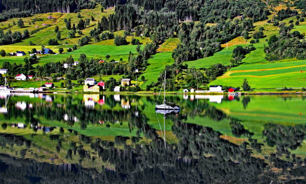 paysage idyllique de fjords, norvège, scandinavie - sognefjord photos et images de collection