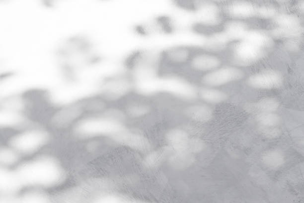 istock Gray concrete wall with plant shadow and copy space. Abstract minimalistic background with reflection of leaves. 1352216263