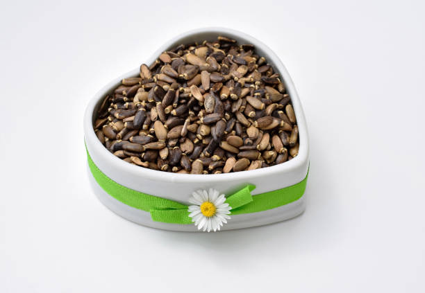 Milk thistle (Silybum marianum) seeds for healthy liver in ceramic bowl of heart shape
