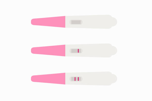 Pregnancy Or Ovulation Positive And Negative Test Set On White Background Pregnancy Or Ovulation Positive And Negative Test Set On White Background family planning stock illustrations