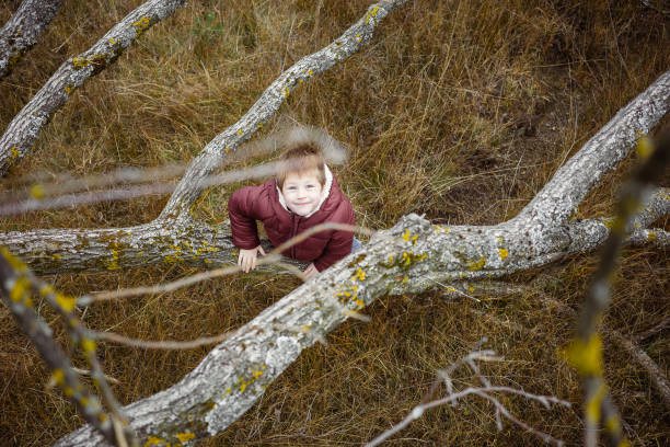 istock Young kid playing in the nature 1352217362