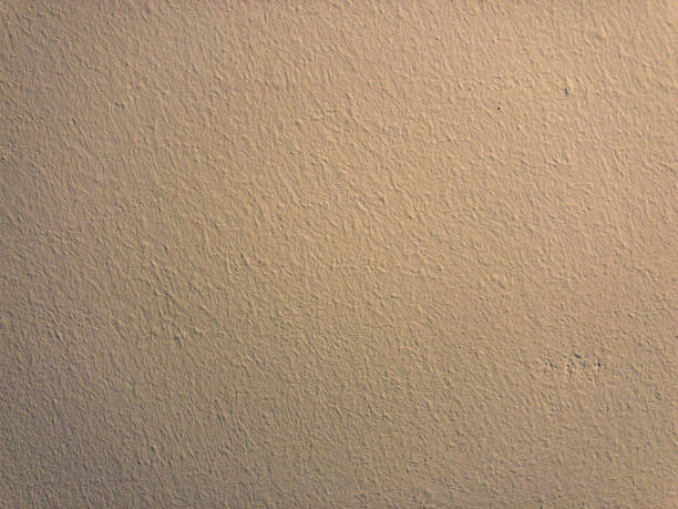 istock A white wallpaper wall as a background or texture. 1352217806