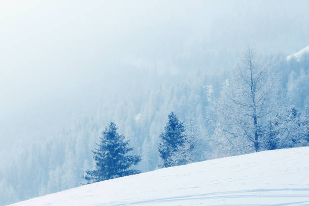 istock Winter mountain forest in snow 1352217905