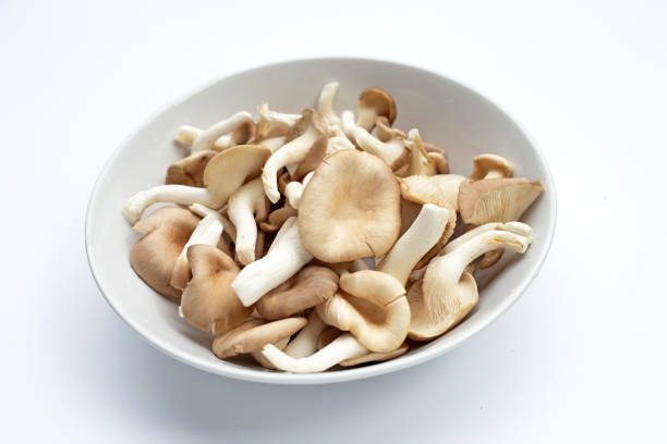 istock Fresh oyster mushroom in white bowl 1352220751