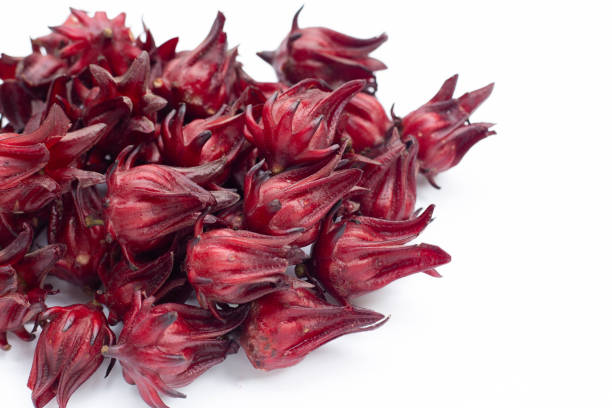 istock Roselle flower isolated on white background. 1352221893