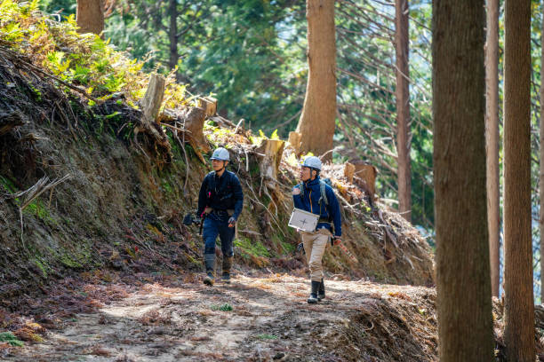 istock Two consultants walk through a selective logging site with surveying equipment 1352221973