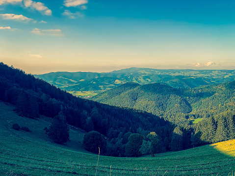 View of the valley in the Black Forest in Germany.