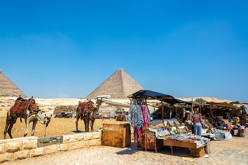 Giza, Egypt - July  14, 2021: Camels and vendors near the Great Pyramid in Giza, Egypt