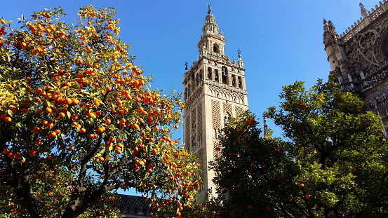 Giralda tower of Seville