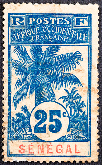 A canceled postage stamp printed by Senegal showing an oil palm, circa 1906.