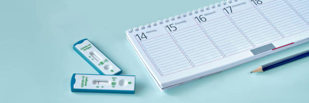 istock Shnelltest, rapid corona test in German language. Weekly planner, calendar, pencil and small house plant on mint blue table. Express test is fast way to test for acute coronavirus infection, causing covid 19 1352224582
