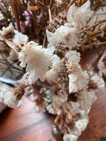 Close-up of a dried flowers bouquet