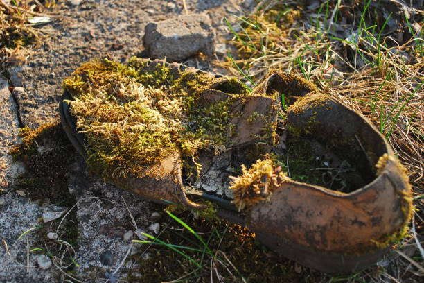 istock An old, worn-out, mossy brown men's shoe left on the ground 1352226169