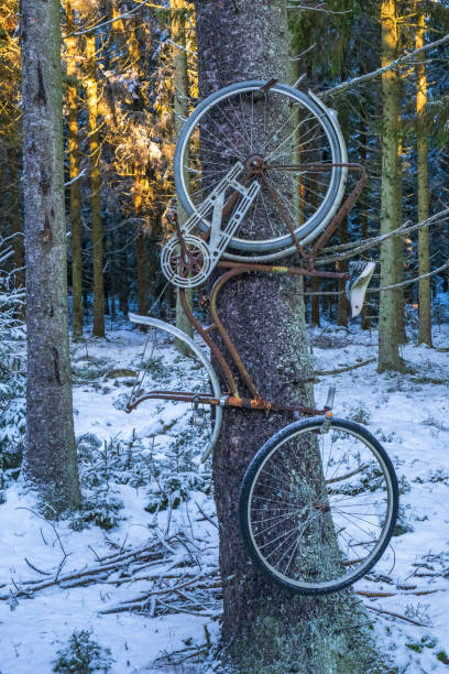 An old derelict bicycle lost to nature in the countryside.