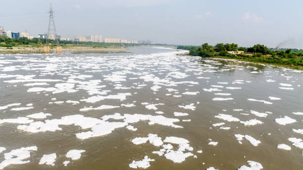 u-bahn-brücke von delhi metro auf verschmutztem yamuna fluss - yamuna river stock-fotos und bilder