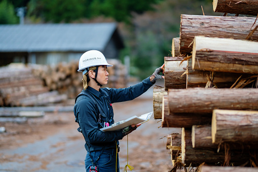Mid adult forester measuring fallen timber and recording the data at a timber sorting facility in Japan
