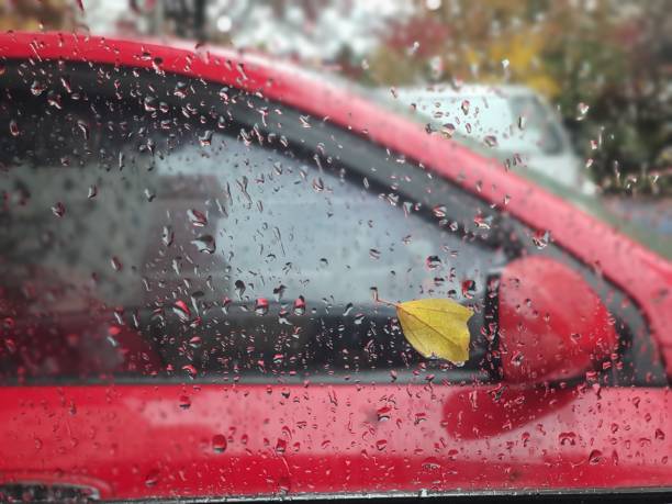 istock Autumn rain, autumn leaves. 1352230554
