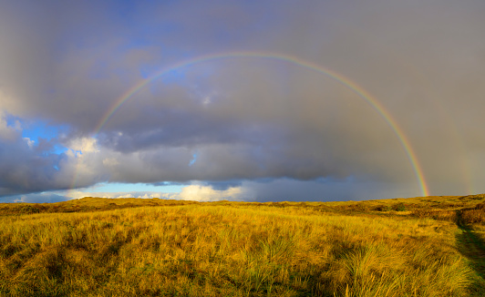 Rainbow in the dunes at Texel island in the Wadden sea region in the North of The Netherlands during a stormy autumn morning.