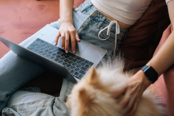 nahaufnahme von nicht wiederzuerkennenden jungen frauen, die auf einem laptop tippen, auf dem sofa sitzen und kuscheln und einen hübschen miniatur-spitzhund streicheln. - spitz type dog fotos stock-fotos und bilder