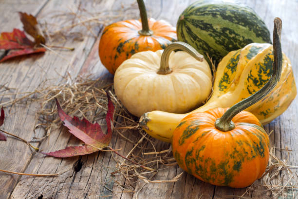 istock Autumn pumpkins on old wooden boards 1352235016