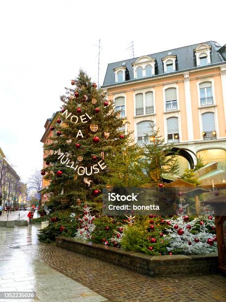 Christmas Tree In Mulhouse France Stock Photo - Download Image Now - Christmas Market, Alsace, Architecture