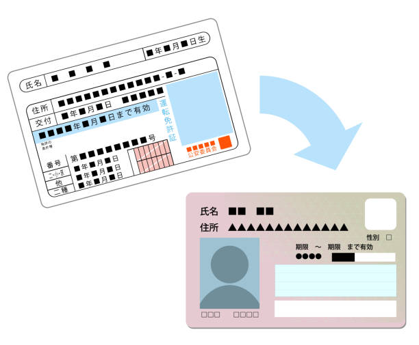 This is an illustration of the integration of a driver's license and my number card. This is an illustration of the integration of a driver's license and my number card. procedural generation stock illustrations