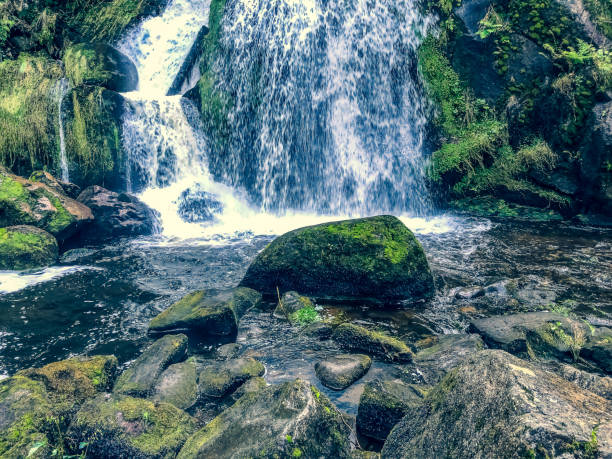 istock A waterfall in the Black Forest in Germany. 1352237499