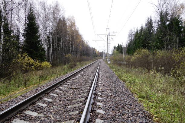 istock Railroad track in autumn 1352237662