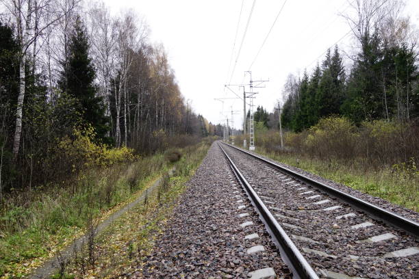istock Railroad track in autumn 1352237676