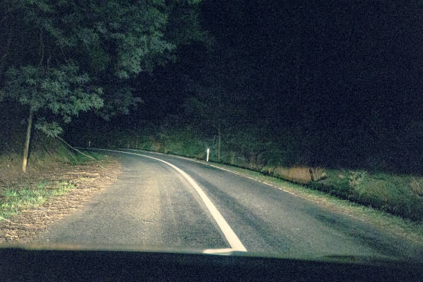 istock Drive through a forest in Australia in the dark. 1352238313