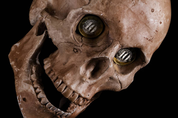 Human skull and bones in a grave.