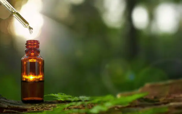 Organic essential oil drop drips into amber glass bottle next to fresh herbs. Copy space.