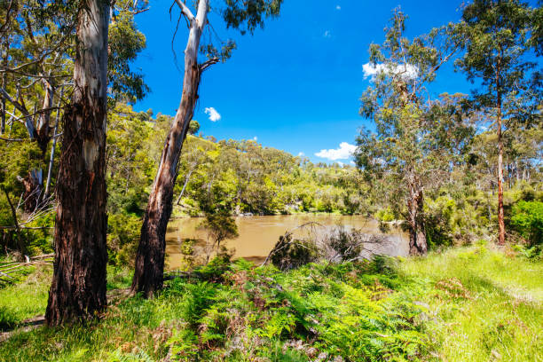 istock Mount Lofty Circuit Walk in Melbourne Australia 1352240824