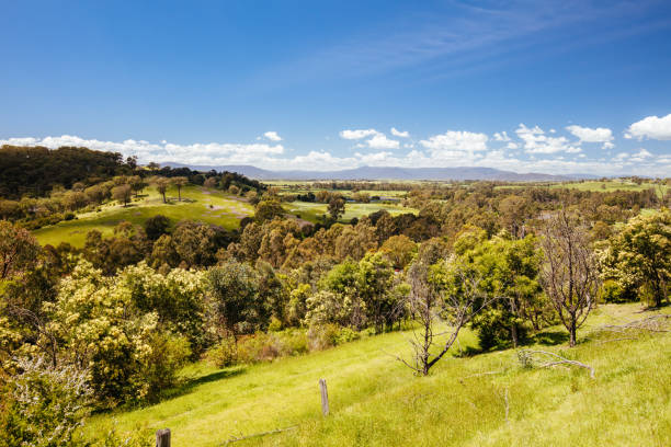 istock Mount Lofty Circuit Walk in Melbourne Australia 1352240839