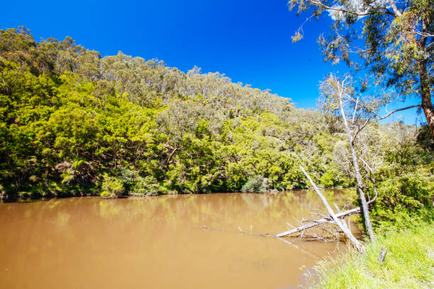 istock Mount Lofty Circuit Walk in Melbourne Australia 1352240863