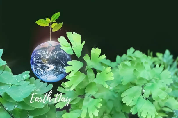 istock Earth Day celebration image with earth and freshness growth green 1352242386