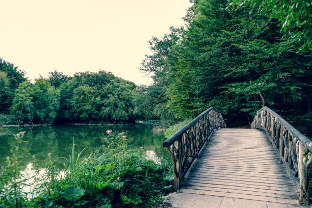istock A bridge over a lake for visitors. 1352244697