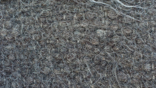 istock Sheep wool fabric texture. Knitted wool close up. 1352246243