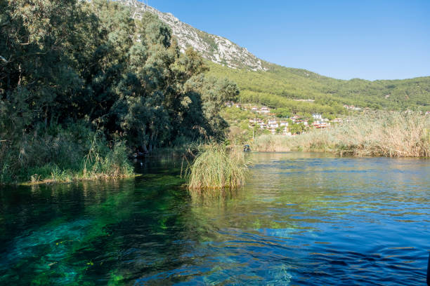 istock View from a beautiful natural creek on a green forest and a tiny village 1352246506