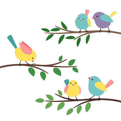 Kids birds branches. Bird family on trees branch for baby cartoon image, spring seasons children birdie vector illustration on white