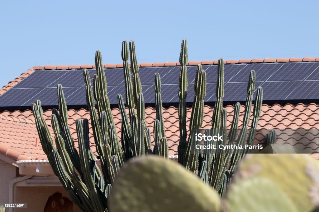 Solar panels on house tile roof behind Arizona cactus Solar panels on tile roof behind southwestern cactus on a sunny day Solar Panel Stock Photo