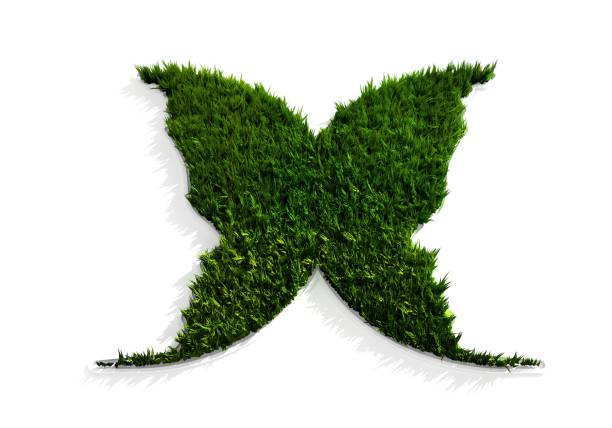 Glass letter X on a white background. 3d illustration.